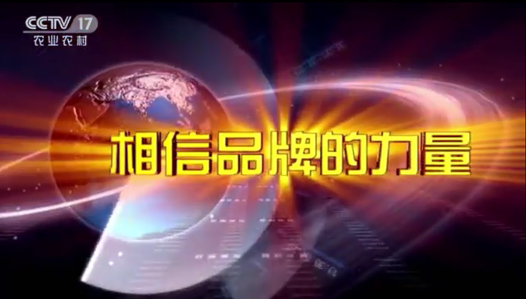 洪鷹央視廣告